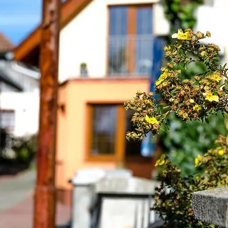 招待所 阿达玛放松旅馆 3*